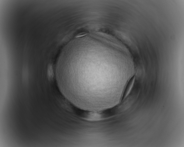 X0000096730335200802191553