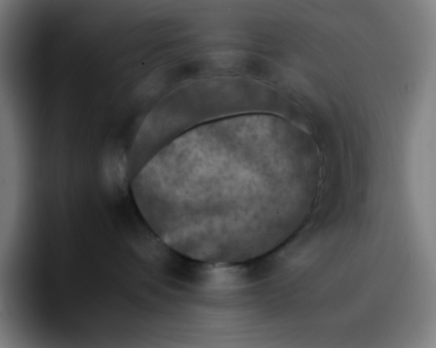 X0000096730336200802191553