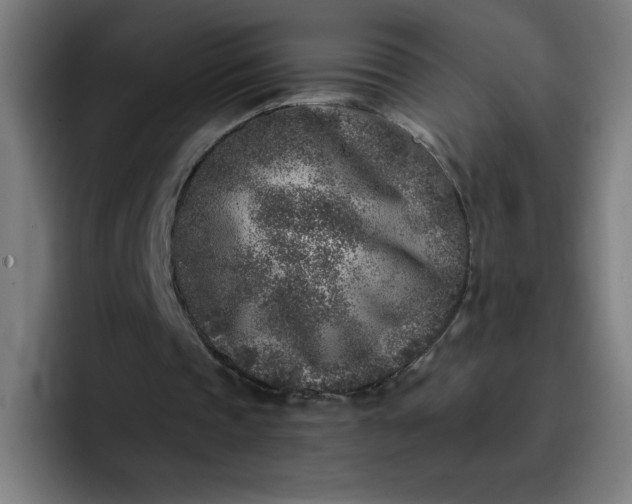 X0000096730337200802191553