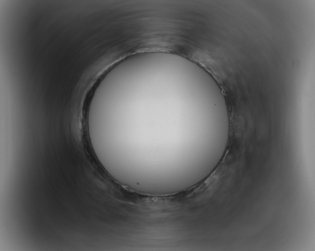 X0000096730338200802191553