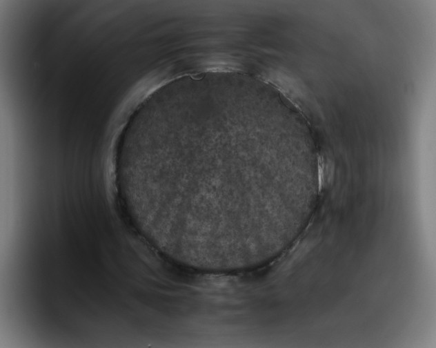 X0000096730339200802191553