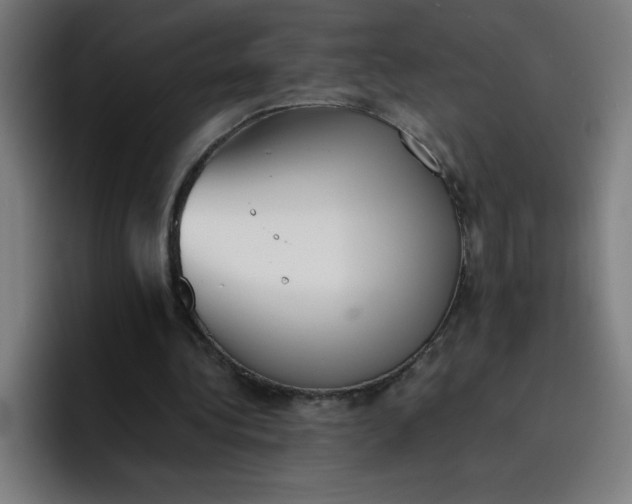 X0000096730340200802191553