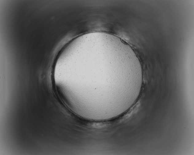 X0000096730341200802191553