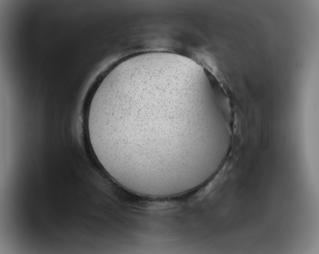 X0000096730342200802191553