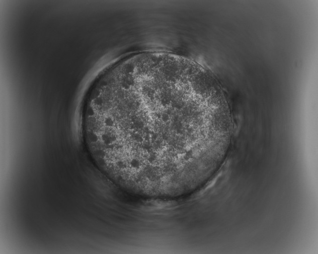 X0000096730343200802191553