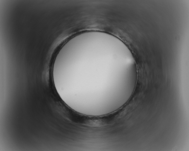 X0000096730344200802191553