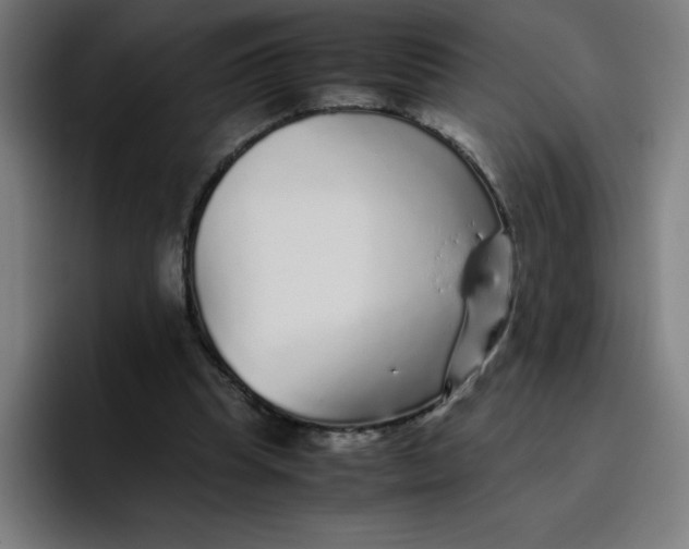 X0000096730345200802191553