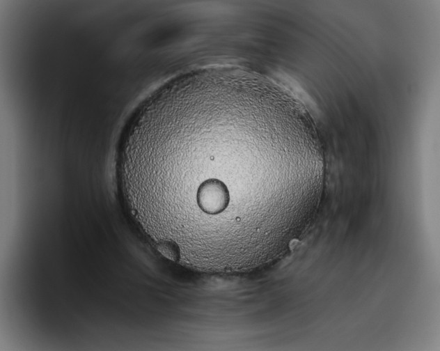 X0000096730346200802191553