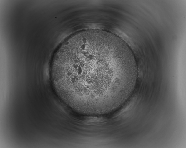 X0000096730347200802191553