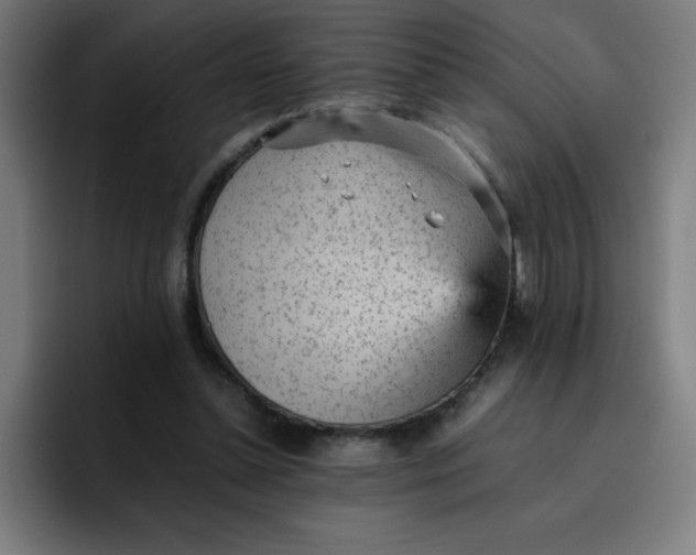 X0000096730348200802191553