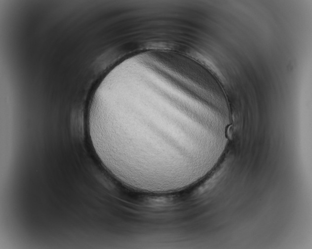 X0000096730349200802191553