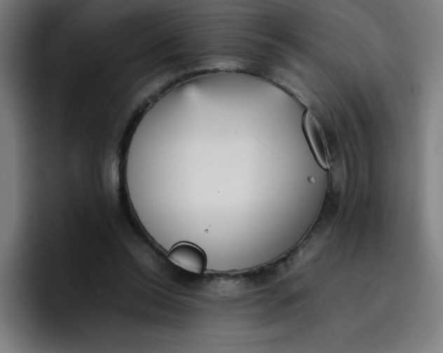 X0000096730350200802191553