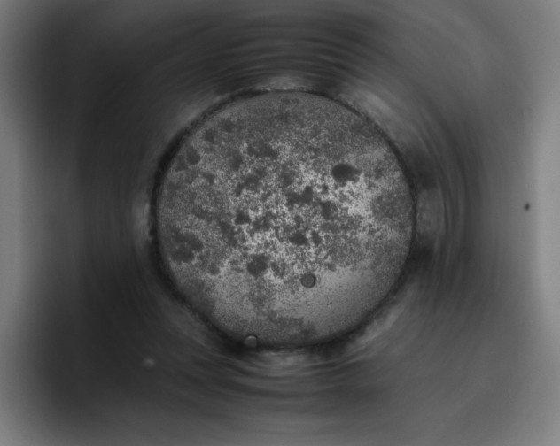 X0000096730351200802191553