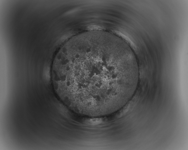 X0000096730353200802191553