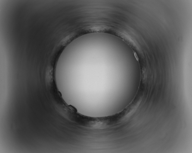 X0000096730356200802191553