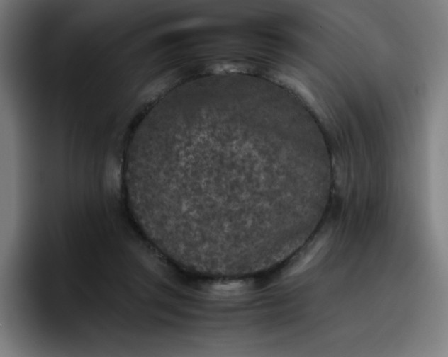 X0000096730357200802191553