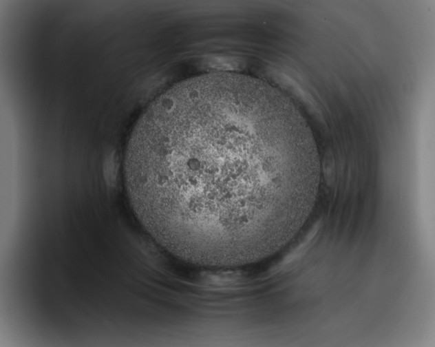 X0000096730359200802191553