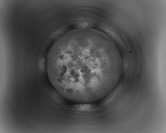 X0000096730361200802191553