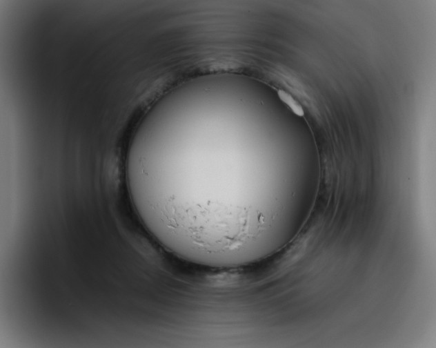 X0000096730362200802191553