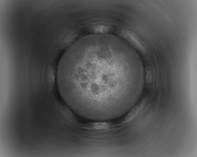 X0000096730363200802191553