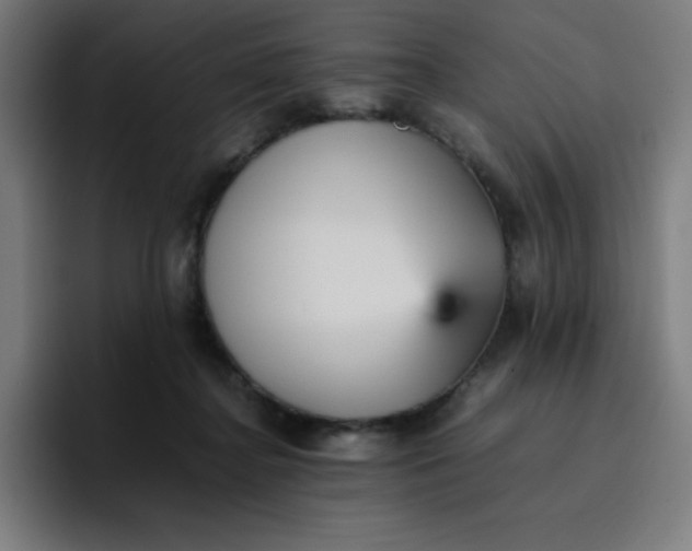 X0000096730364200802191553