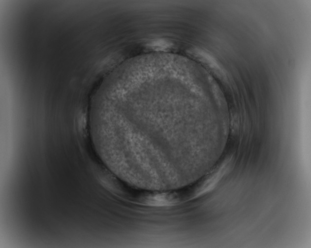 X0000096730365200802191553