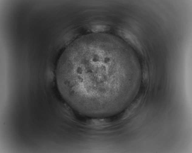 X0000096730367200802191553