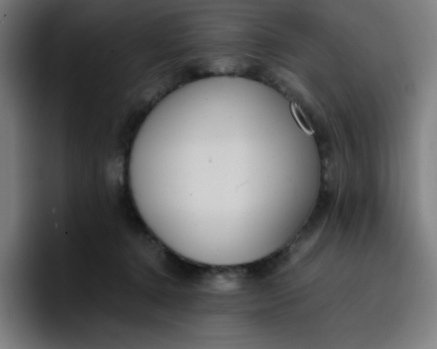 X0000096730368200802191553