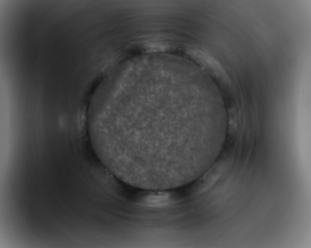 X0000096730369200802191553