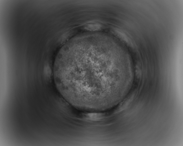 X0000096730371200802191553