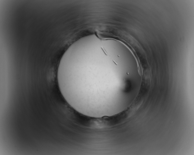 X0000096730372200802191553