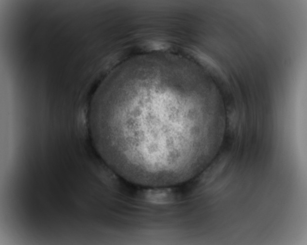 X0000096730373200802191553