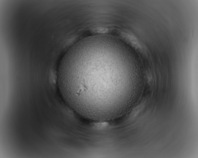 X0000096730374200802191553