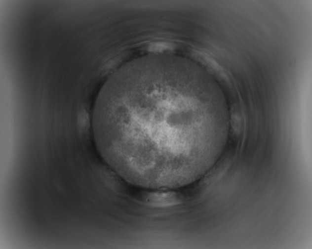 X0000096730375200802191553