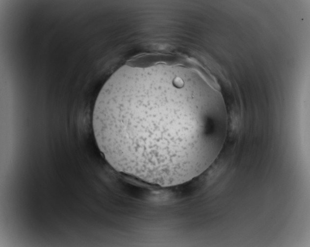 X0000096730376200802191553