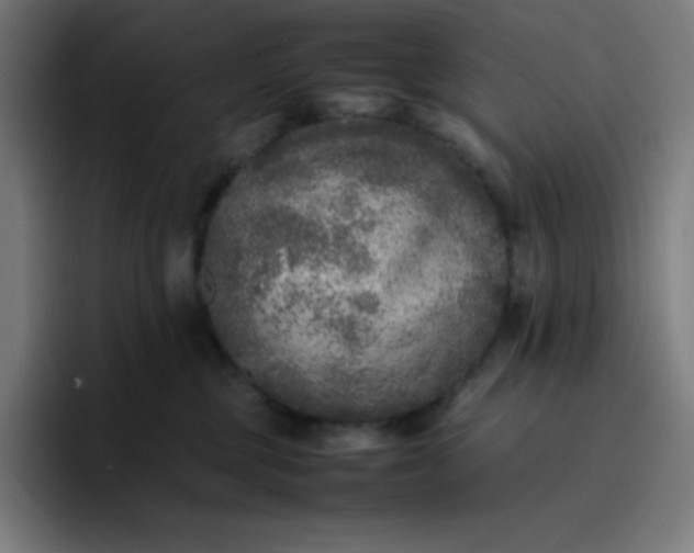 X0000096730377200802191553