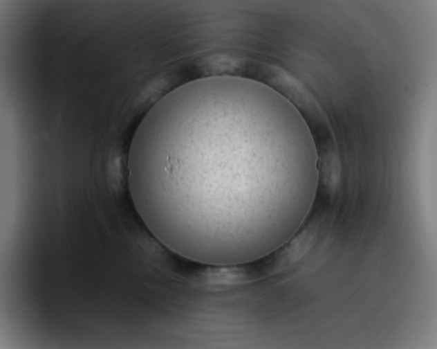 X0000096730378200802191553