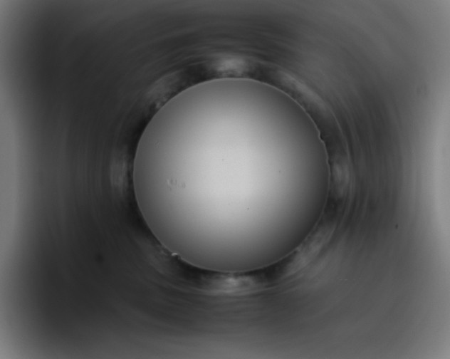 X0000096730379200802191553