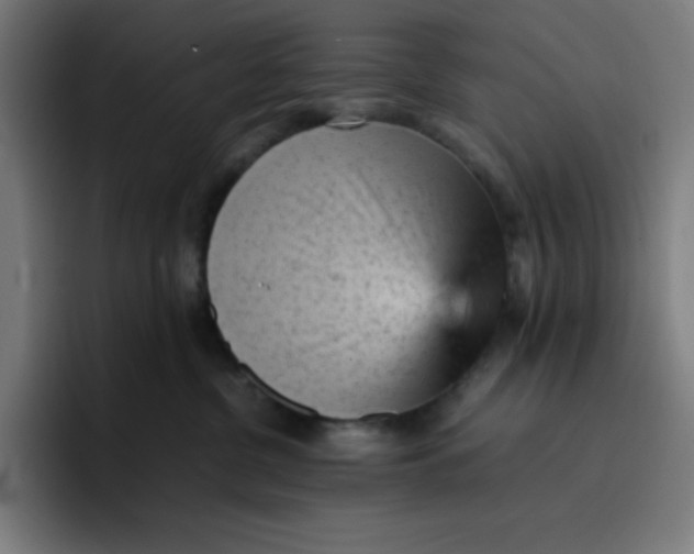 X0000096730380200802191553