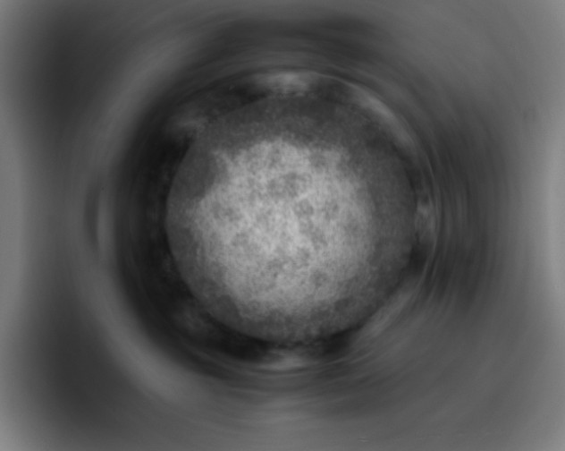 X0000096730381200802191553