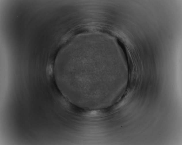 X0000096730382200802191553