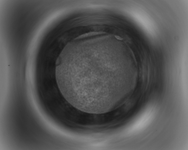 X0000096730383200802191553