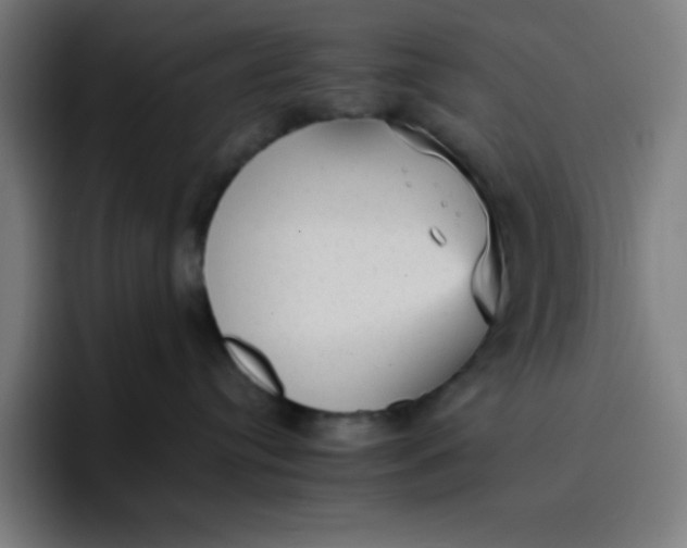 X0000096730384200802191553