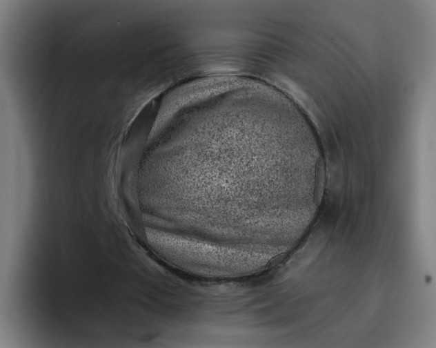 X0000096730385200802191553