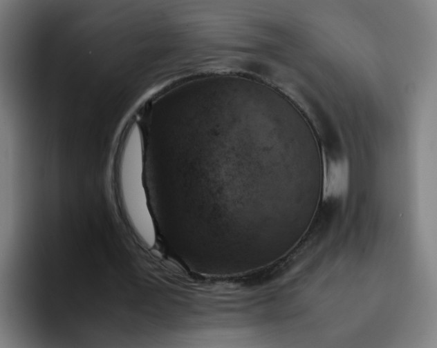 X0000096730387200802191552