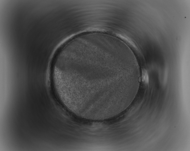 X0000096730388200802191552