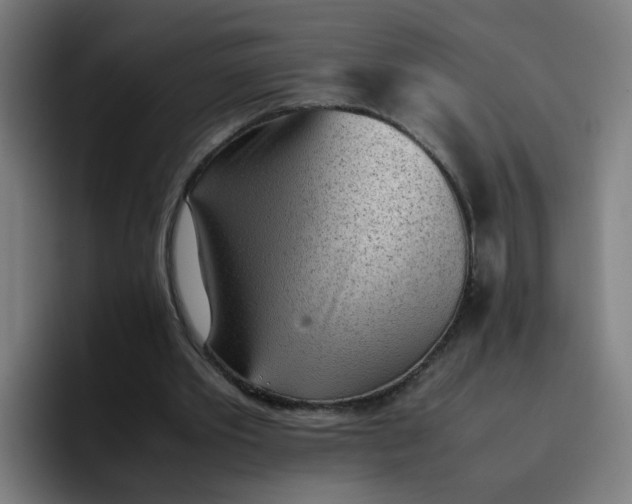 X0000096730389200802191552