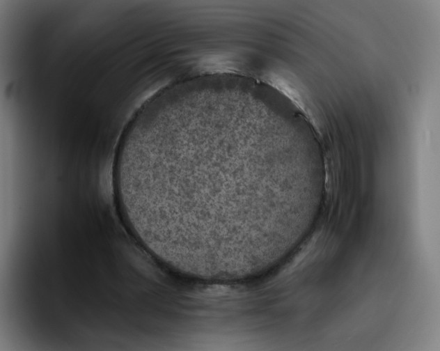 X0000096730390200802191552