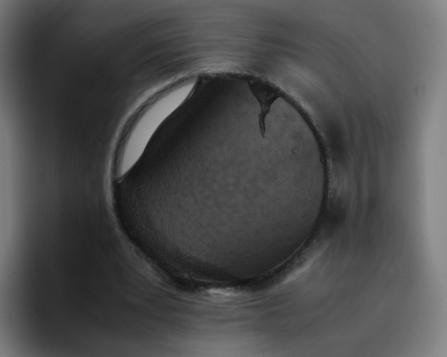 X0000096730391200802191552