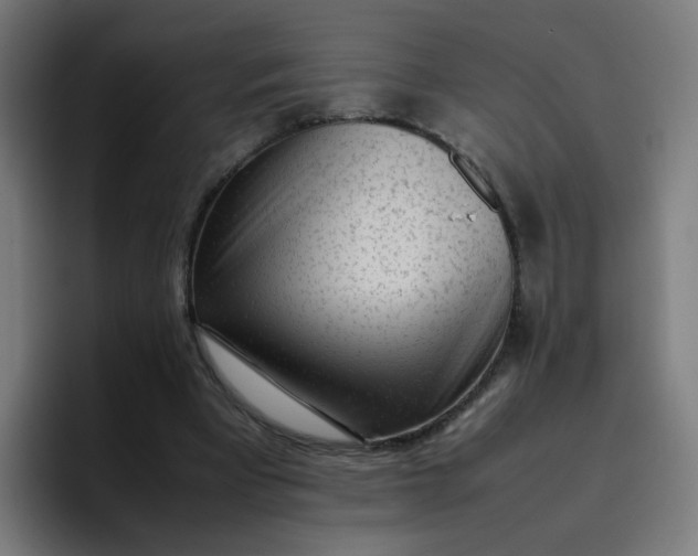 X0000096730393200802191552